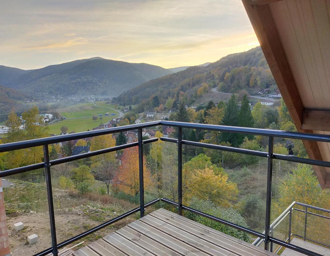 Ferienwohnung Au Chalet De Jo Muhlbach-sur-Munster Exterior foto